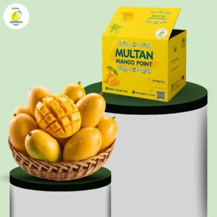 Chaunsa Mango Premium